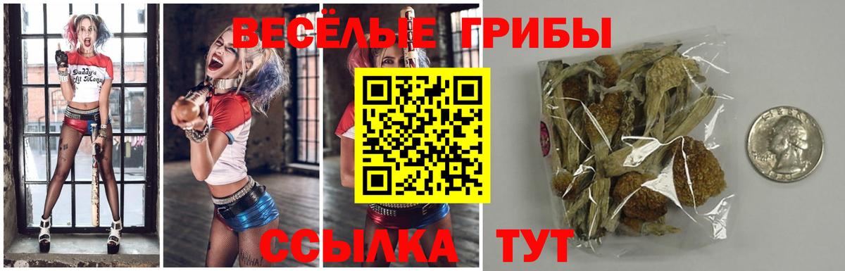 как найти закладки  Галлюциногенные грибы Psilocybine cubensis  Вход с VPN  Южно-Сахалинск 